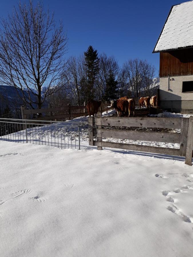 Apartmán Hinterramsebn Vorderstoder Exteriér fotografie